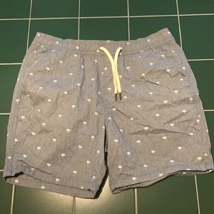 Hollister Men’s Shorts